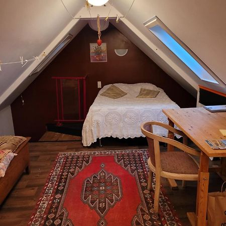 Maison Tres Calme Plein Centre Ville Jardin Moëlan-sur-Mer Exteriör bild